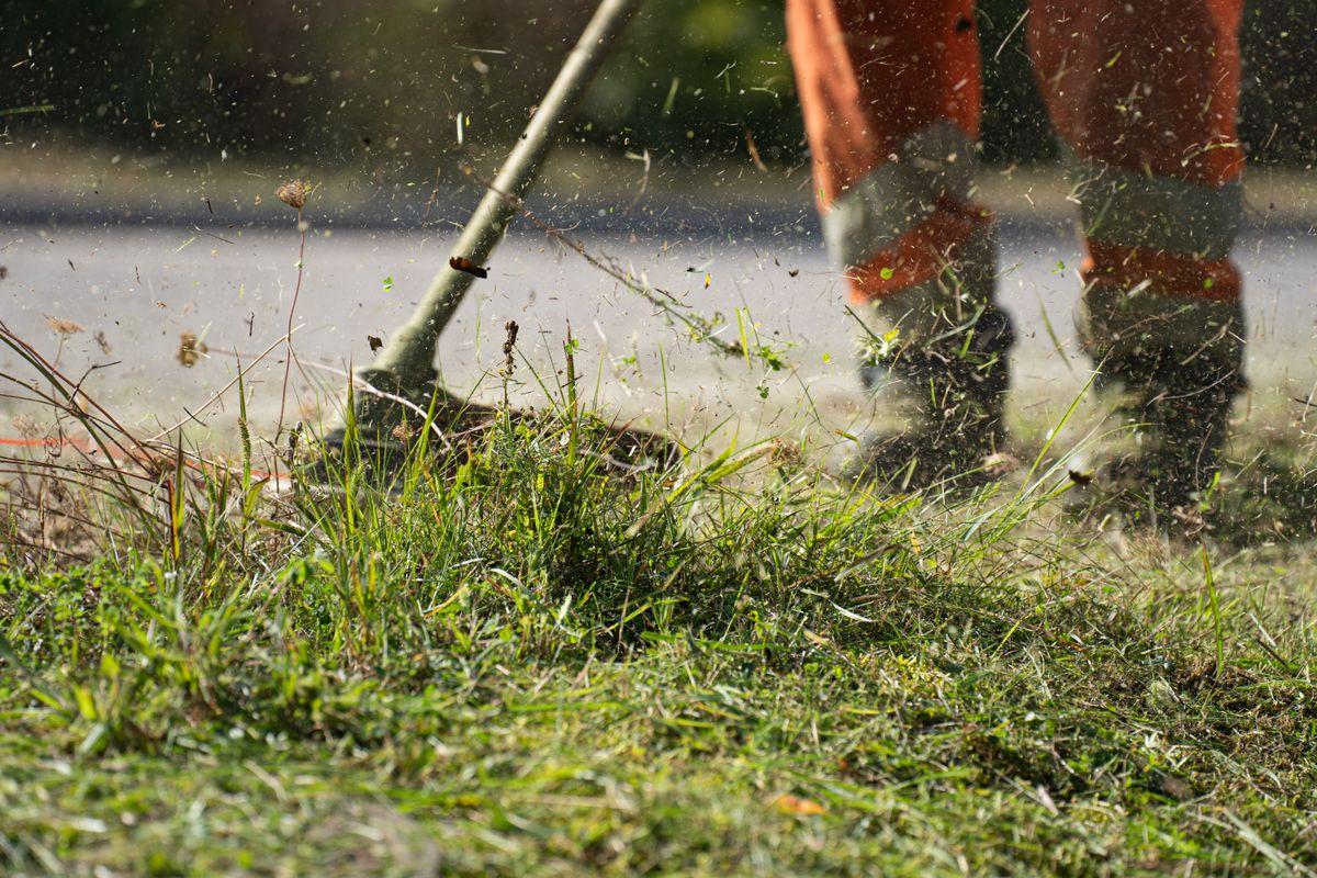 Evergreen Grounds Landscaping