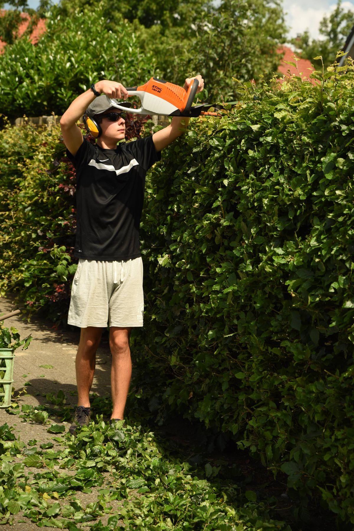Evergreen Grounds Landscaping