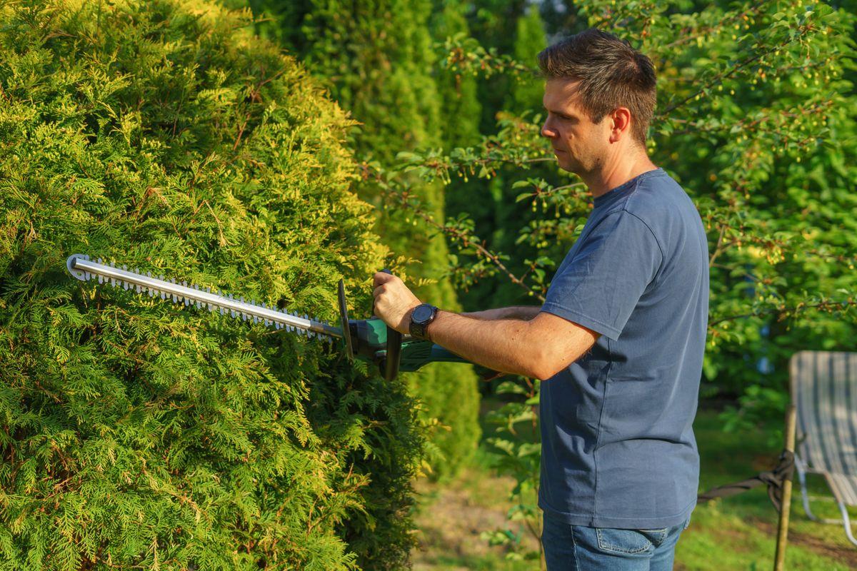 Evergreen Grounds Landscaping
