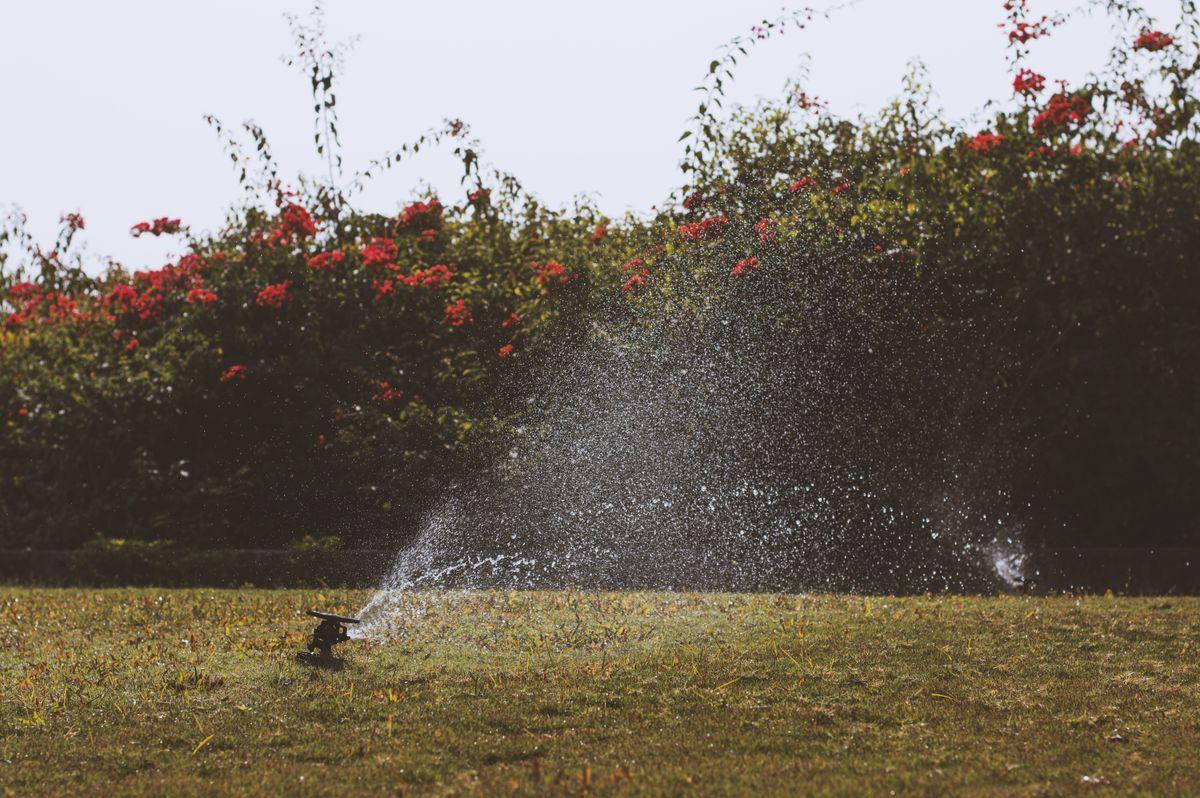Evergreen Grounds Landscaping